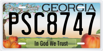GA license plate PSC8747