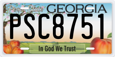 GA license plate PSC8751