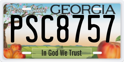 GA license plate PSC8757