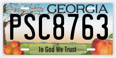 GA license plate PSC8763
