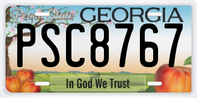 GA license plate PSC8767