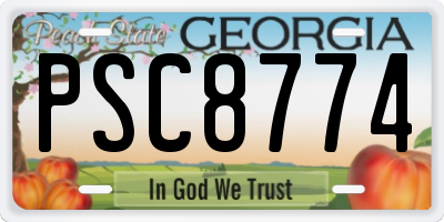 GA license plate PSC8774