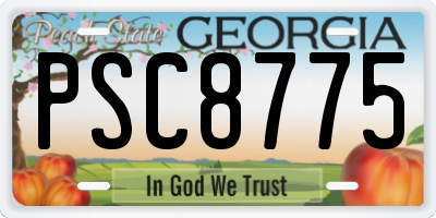 GA license plate PSC8775
