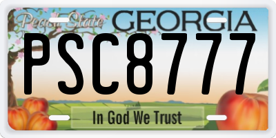 GA license plate PSC8777