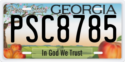 GA license plate PSC8785