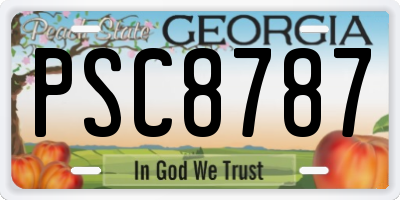 GA license plate PSC8787