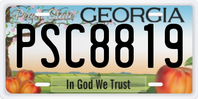 GA license plate PSC8819