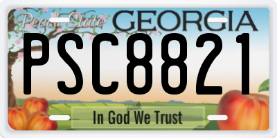 GA license plate PSC8821