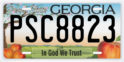 GA license plate PSC8823