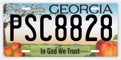 GA license plate PSC8828