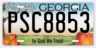 GA license plate PSC8853