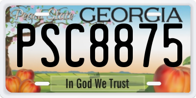 GA license plate PSC8875