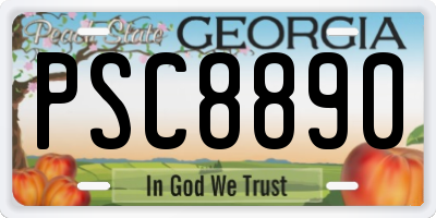 GA license plate PSC8890