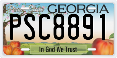 GA license plate PSC8891