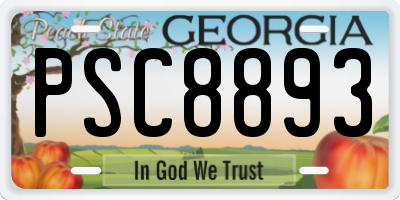 GA license plate PSC8893