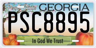 GA license plate PSC8895