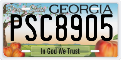 GA license plate PSC8905