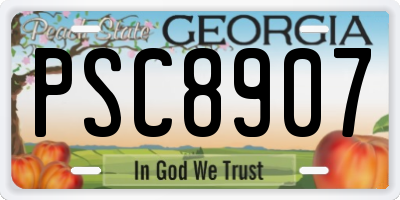 GA license plate PSC8907