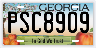 GA license plate PSC8909