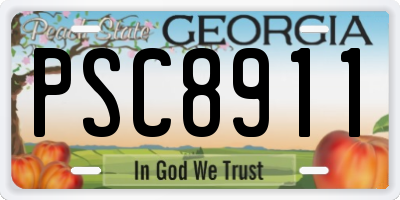 GA license plate PSC8911