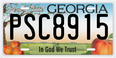 GA license plate PSC8915