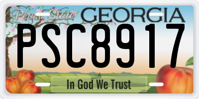 GA license plate PSC8917