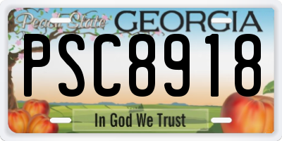 GA license plate PSC8918