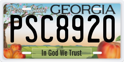 GA license plate PSC8920