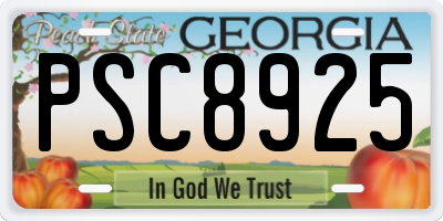 GA license plate PSC8925