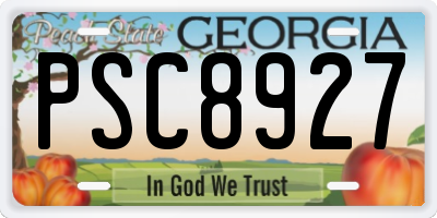 GA license plate PSC8927