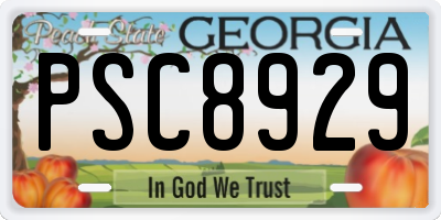GA license plate PSC8929