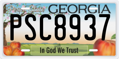 GA license plate PSC8937