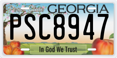 GA license plate PSC8947