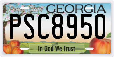 GA license plate PSC8950