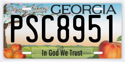 GA license plate PSC8951