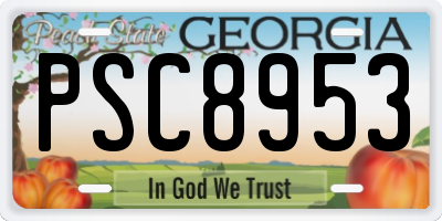 GA license plate PSC8953