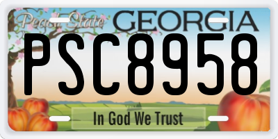GA license plate PSC8958