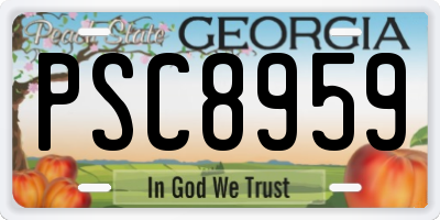 GA license plate PSC8959
