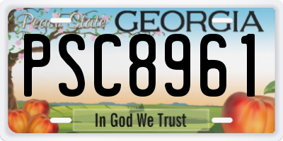 GA license plate PSC8961