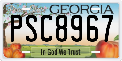 GA license plate PSC8967