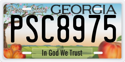 GA license plate PSC8975