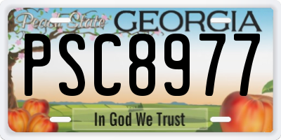 GA license plate PSC8977