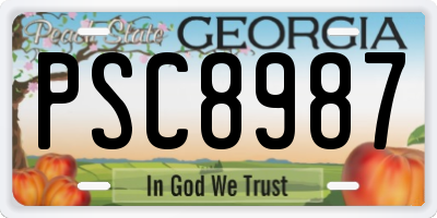 GA license plate PSC8987