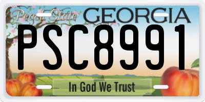 GA license plate PSC8991