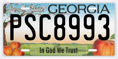 GA license plate PSC8993