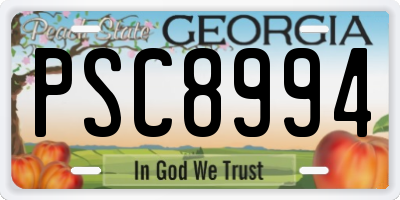 GA license plate PSC8994