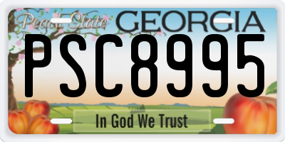 GA license plate PSC8995