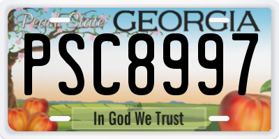 GA license plate PSC8997