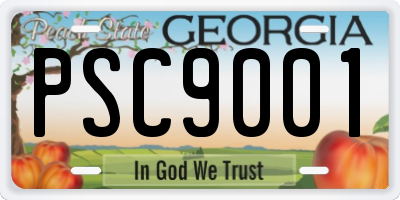 GA license plate PSC9001
