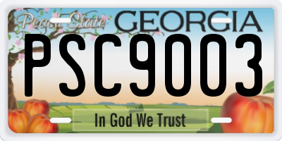 GA license plate PSC9003